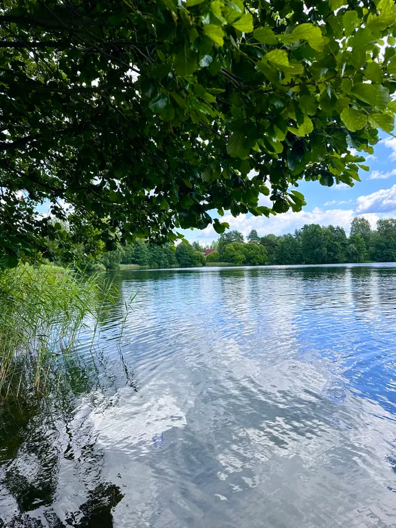 Коттедж Уютный домик в сосновом лесу — Кириши