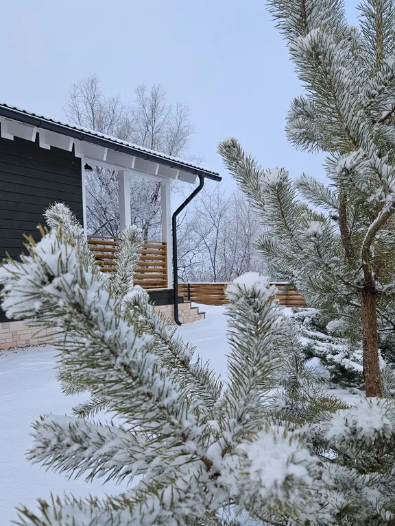 Коттедж Уютный дом на берегу реки — аренда посуточно в Энгельс