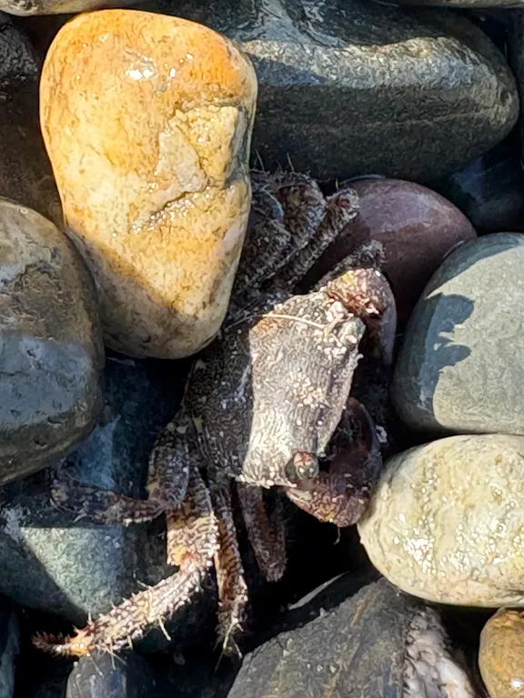 Квартира Делюкс комната с удобствами в лучшем районе Сириуса — Сириус