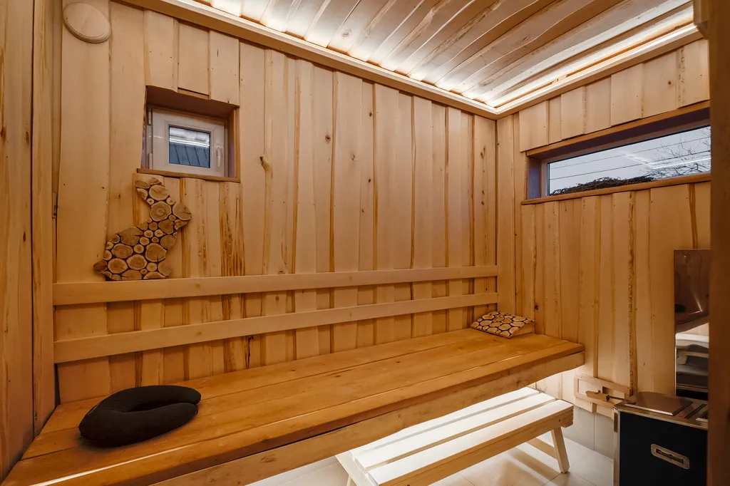 Уютный дом с баней, купелью и видом на лес