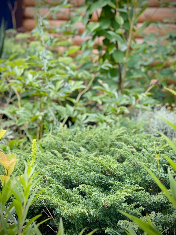 Уютный современный дом около моря