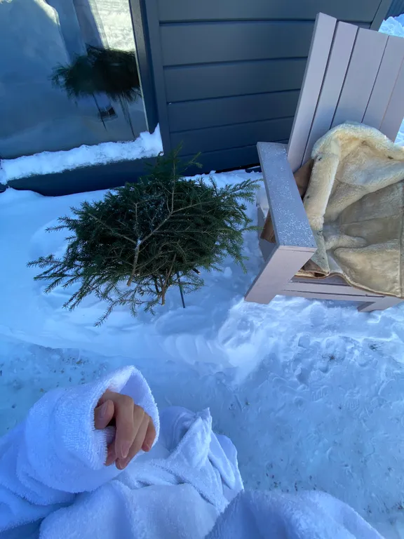 Уютный Дом с баней USADBA