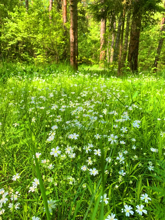 Дом с русской баней и горячей купелью