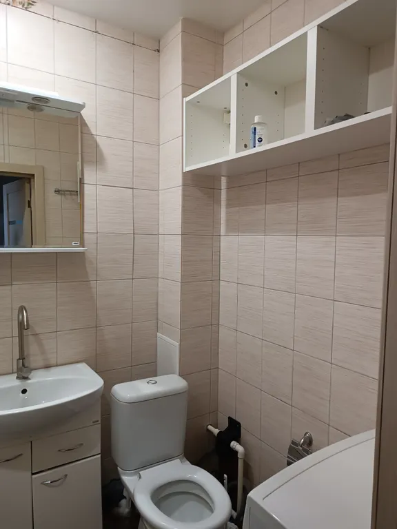 Уголок природы и квартира для отдыха