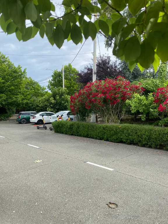 Квартира 1-комнатная Квартира — Сириус