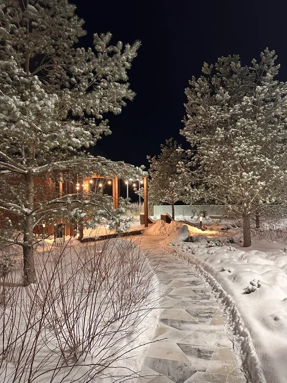 Студия на Новый Год в Курортном районе