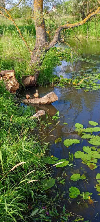 Пикник Хаус