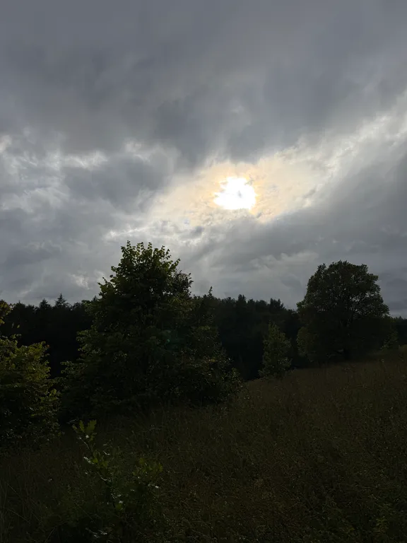 Поместье Сытый Лось с шикарным видом на Долину