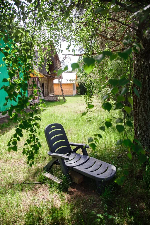 Уютный деревянный дом на берегу реки