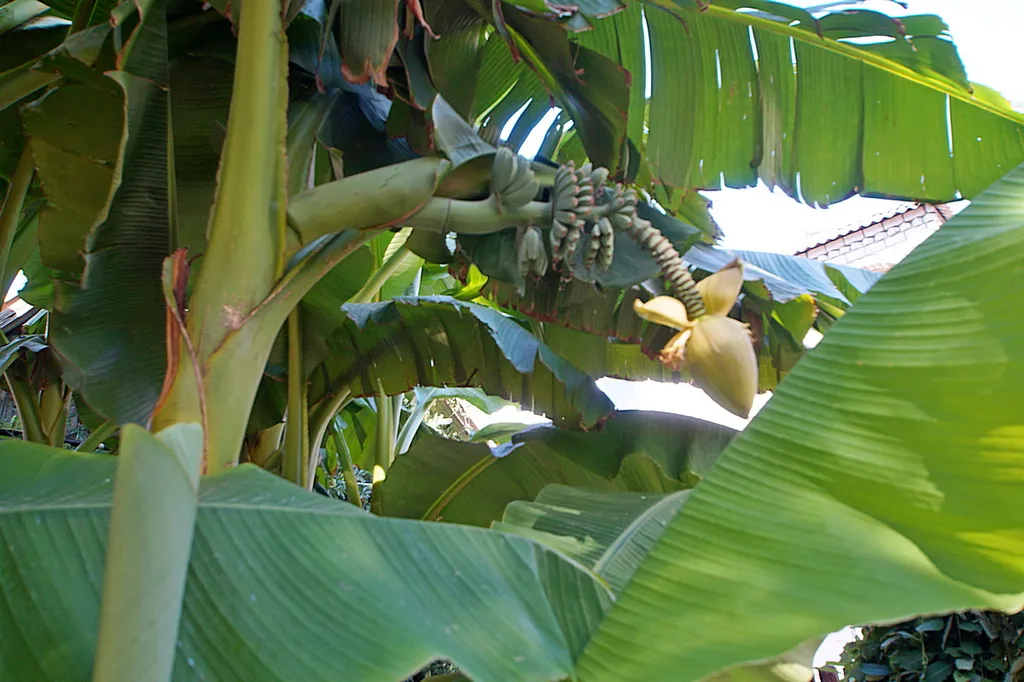Коттедж Дом из бруса — аренда посуточно в Витязево