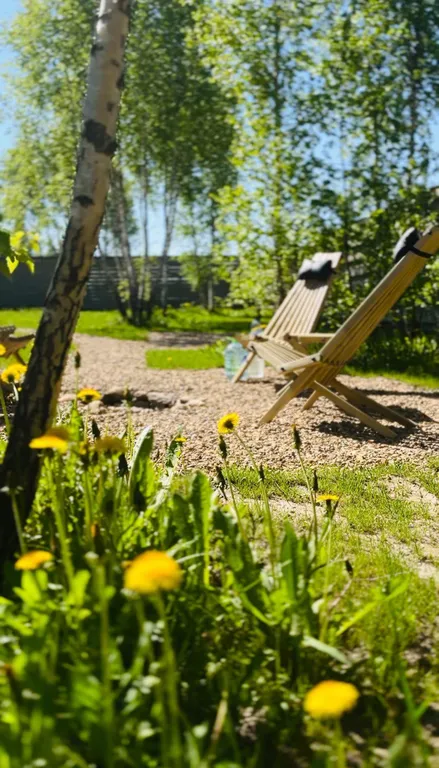 Уютный барнхаус в скандинавском стиле у горнолыжного курорта Сорочаны