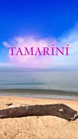 TAMARINI