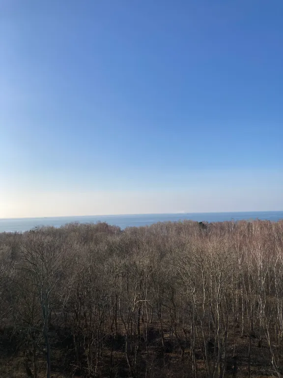 Уютная квартира у моря