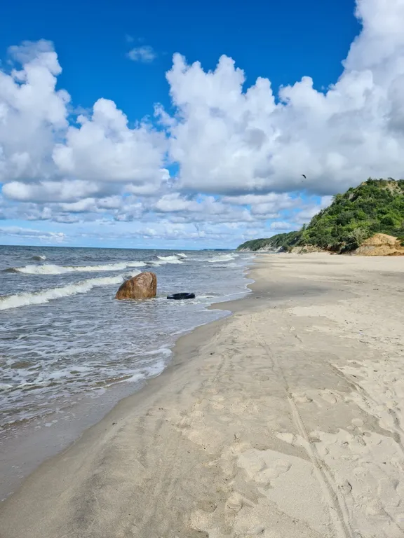 Коттедж Уютный гостевой дом — Лесное