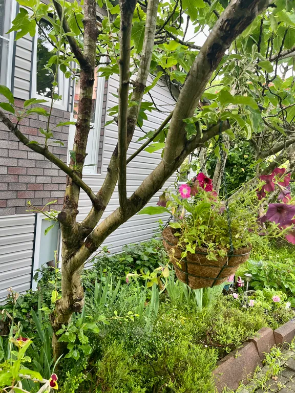 Коттедж Таунхаус в уютной лесной зоне — Мамайский Перевал