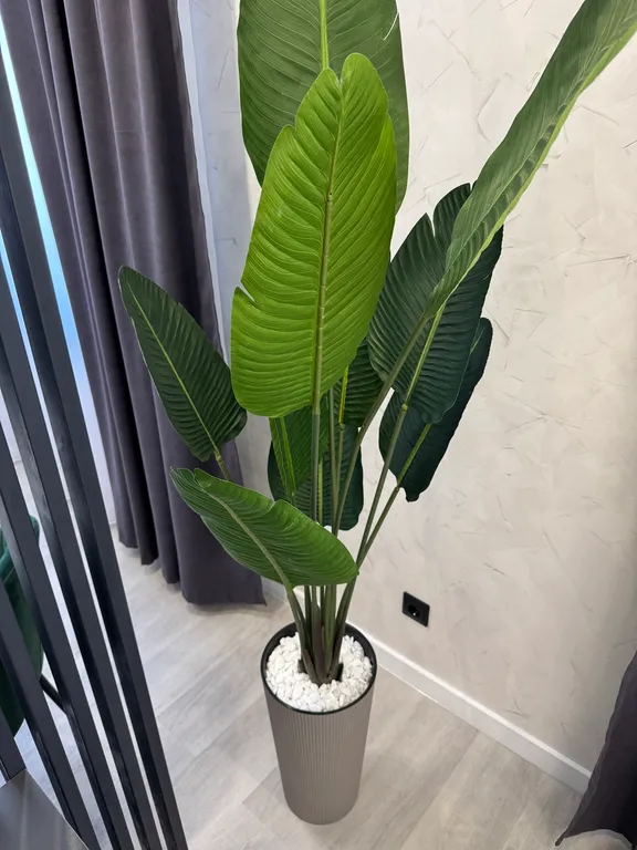 Премиум апартамент 25/11