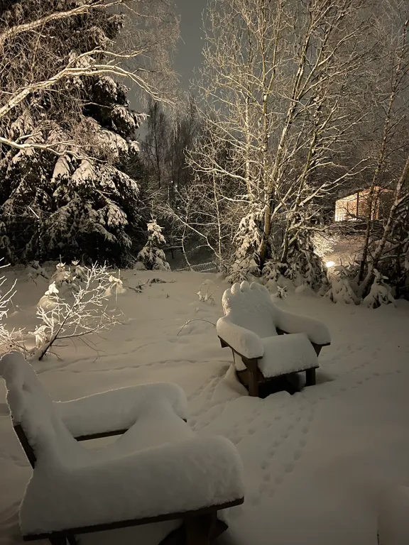 Дача в лесу с панорамными окнами