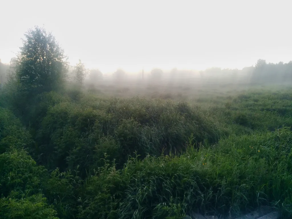 Отдых в видовом месте