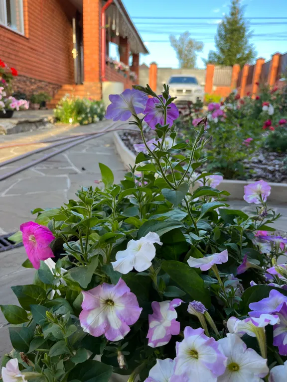 Дом-баня В гостях у Троицы