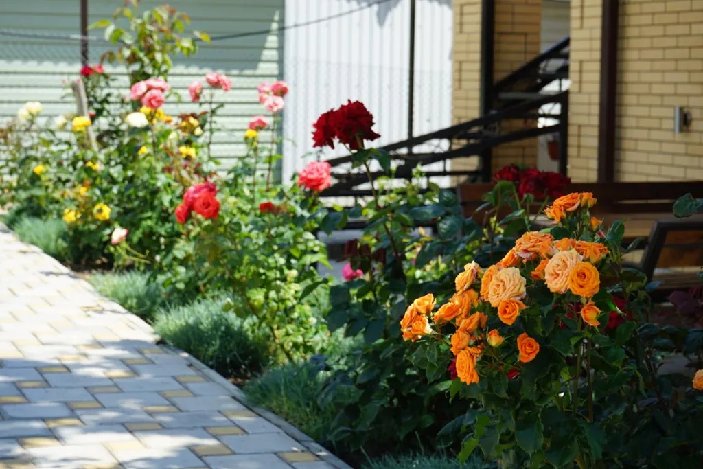 Дом для отпуска У Натальи