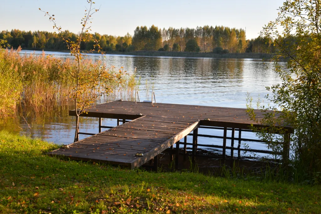 Уютный дом на живописной поляне в лесу с панорамными окнами