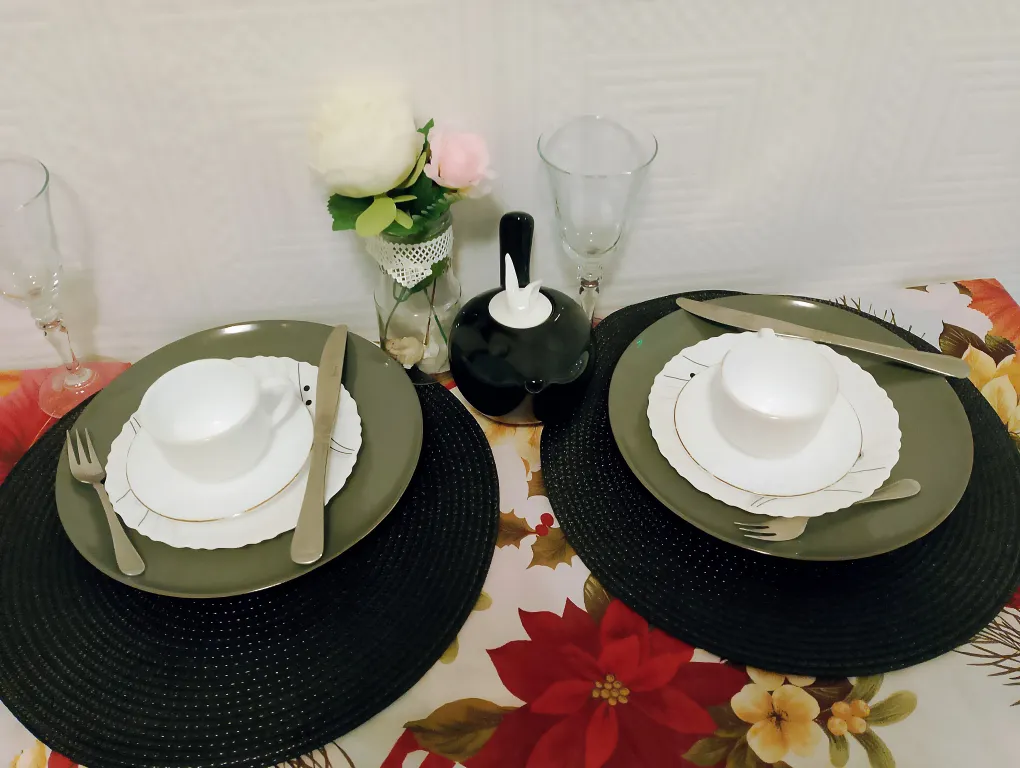 Отличная квартира в самом центре города с видом на фонтан