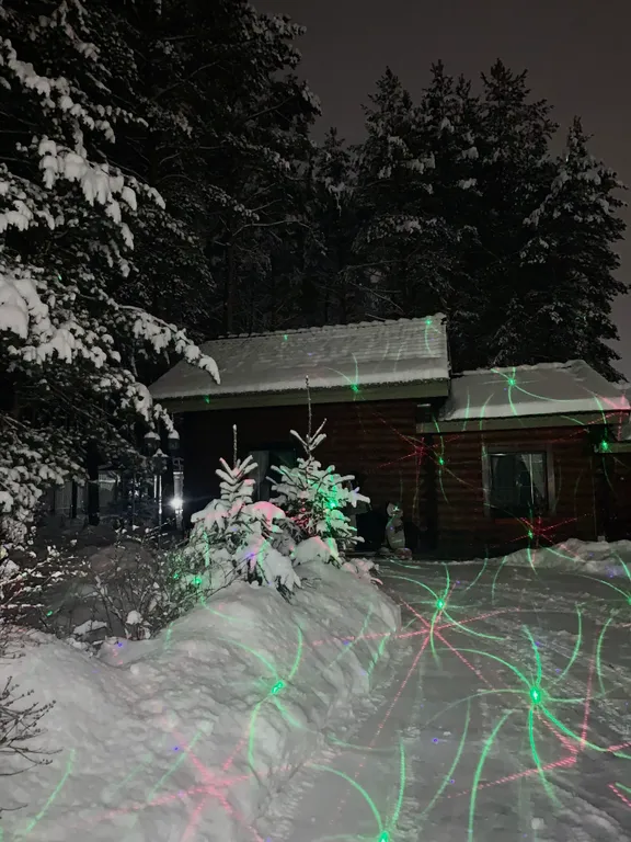 Дом в сосновом бору