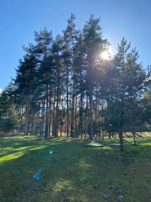 Прекрасная квартира в центре соснового бора