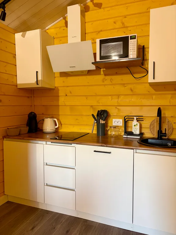 Загородный дом на берегу Ладожского озера