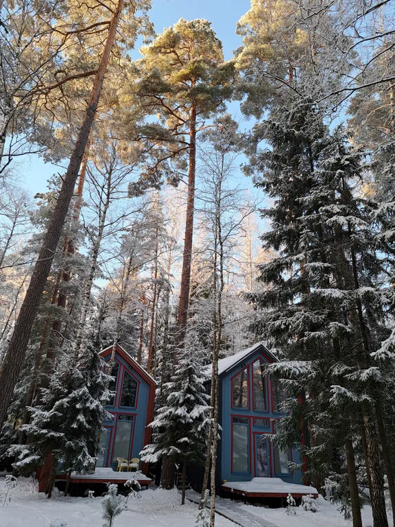 Барнхаус в лесу с розовой гостиной