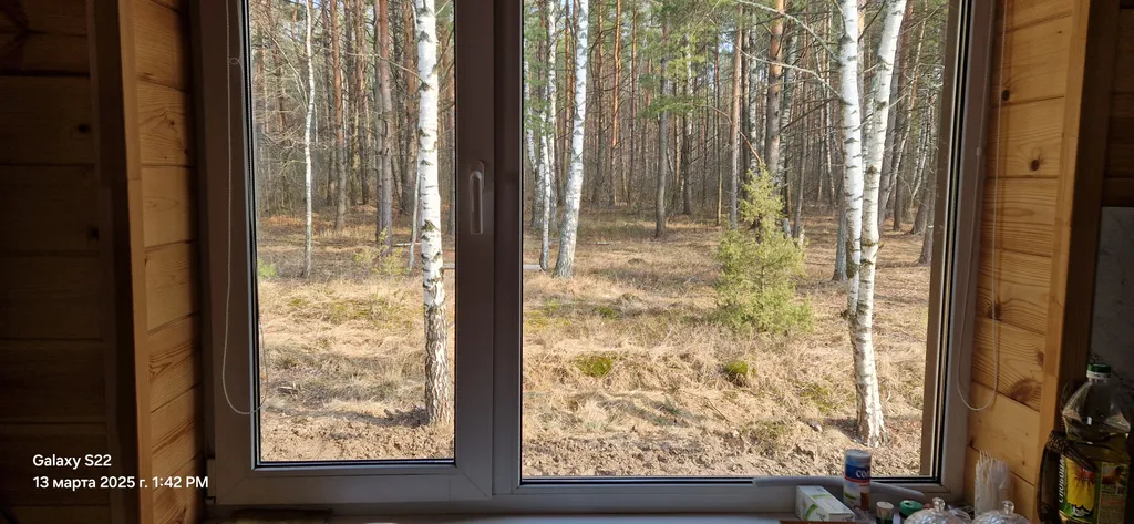 Отдельный дом на краю леса на берегу озера