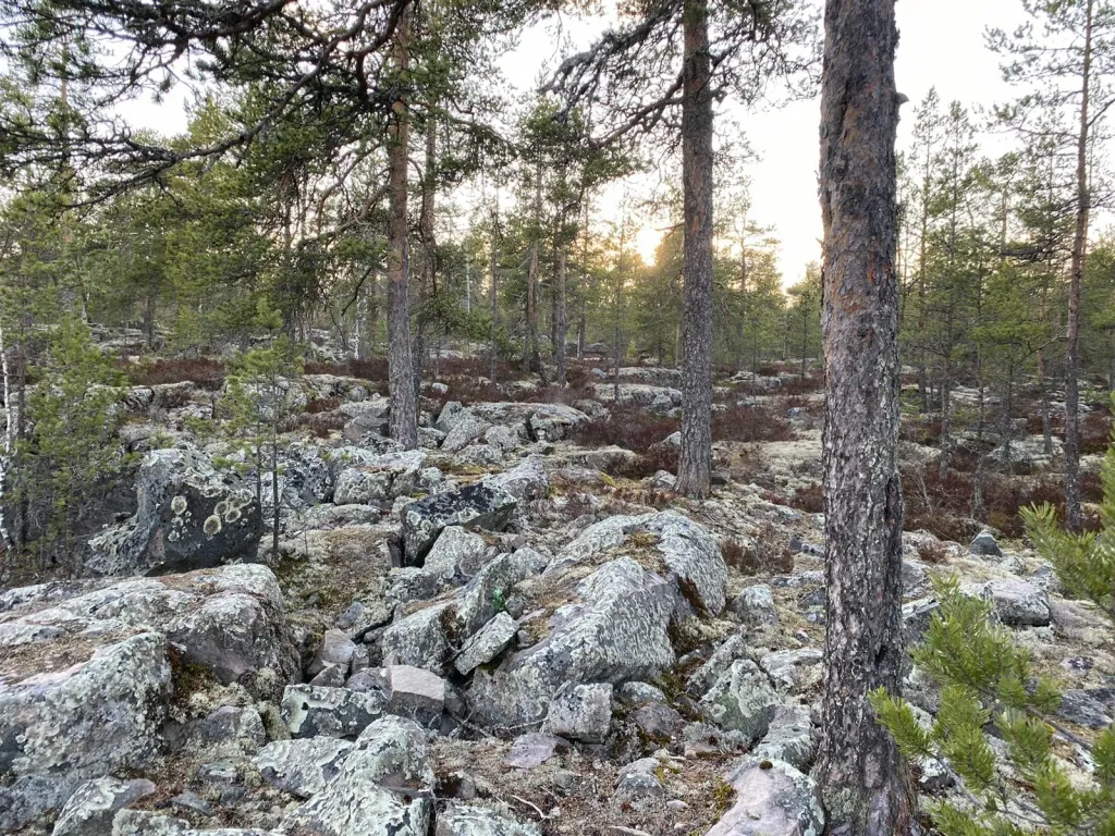 Дом на берегу озера