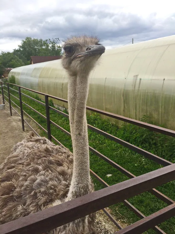 Дом Тропик у озера Увильды