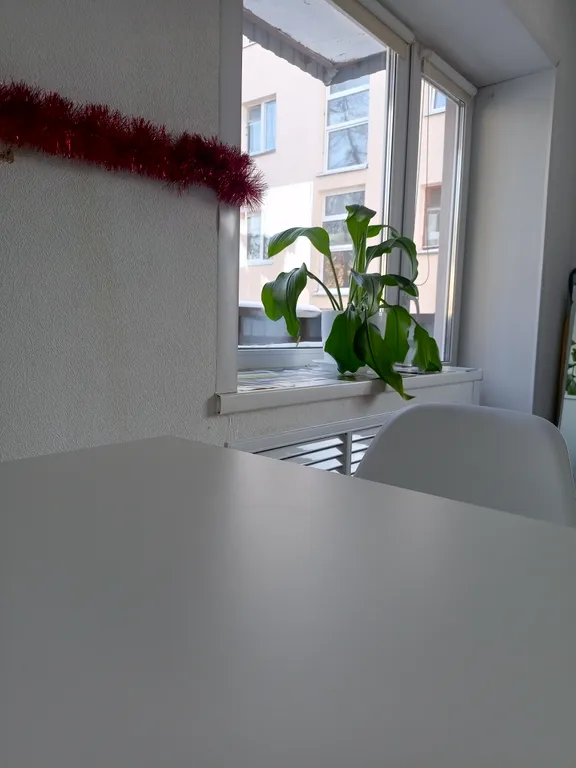 Студия на площади Победы