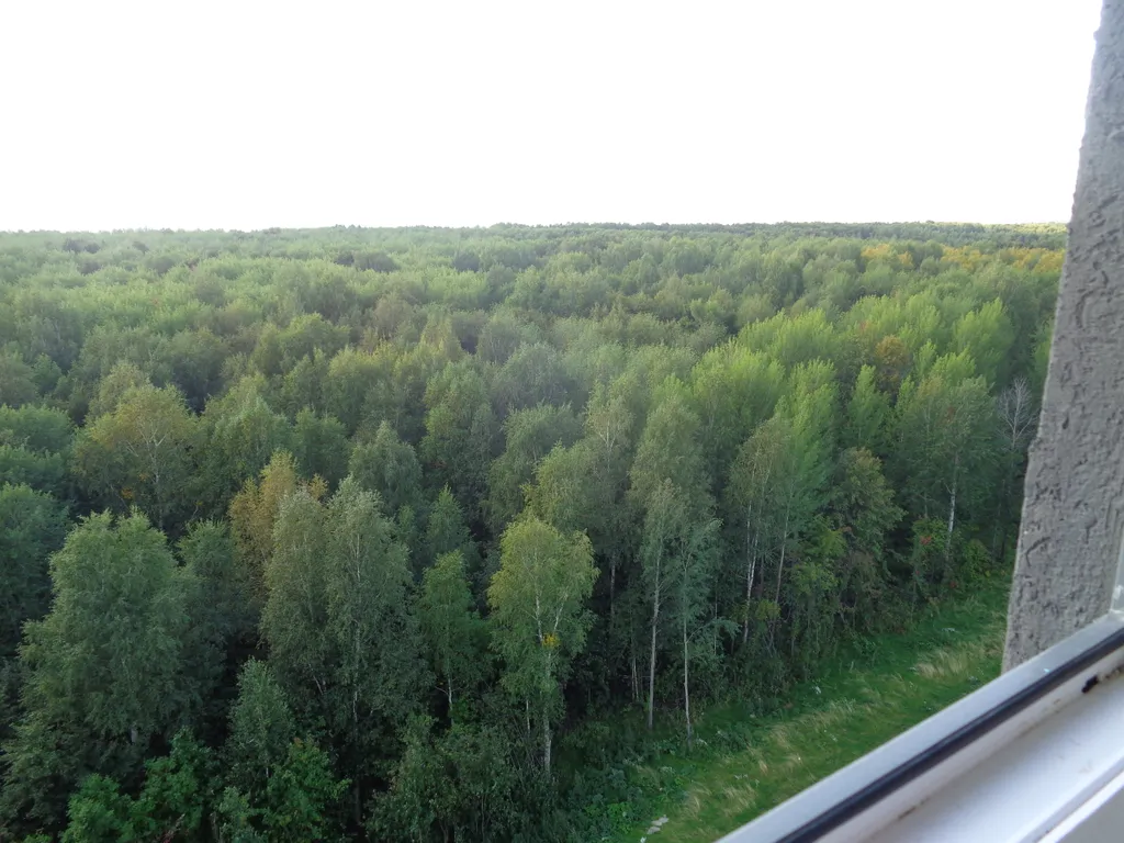 Квартира-студия ждет гостей