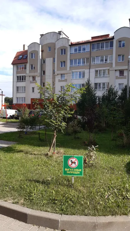 Квартира Уютная квартира в сердце города — Зеленоградск