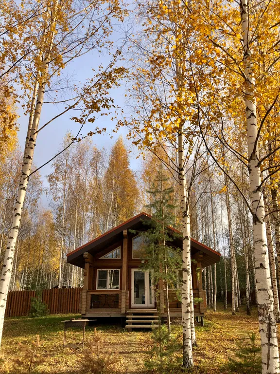 Уютный домик в лесу