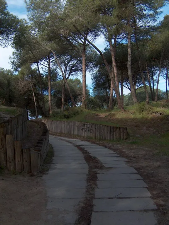 4-комнатная Квартира