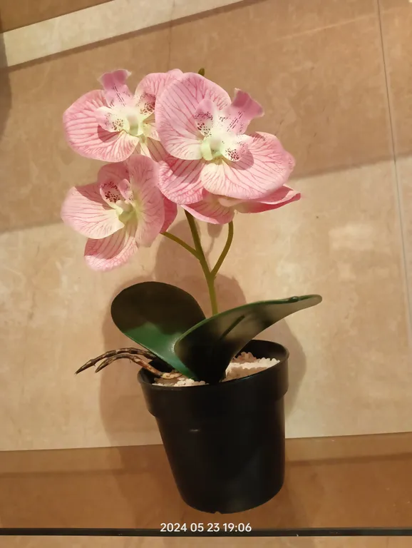 2-комнатная квартира Эстель комфорт класса