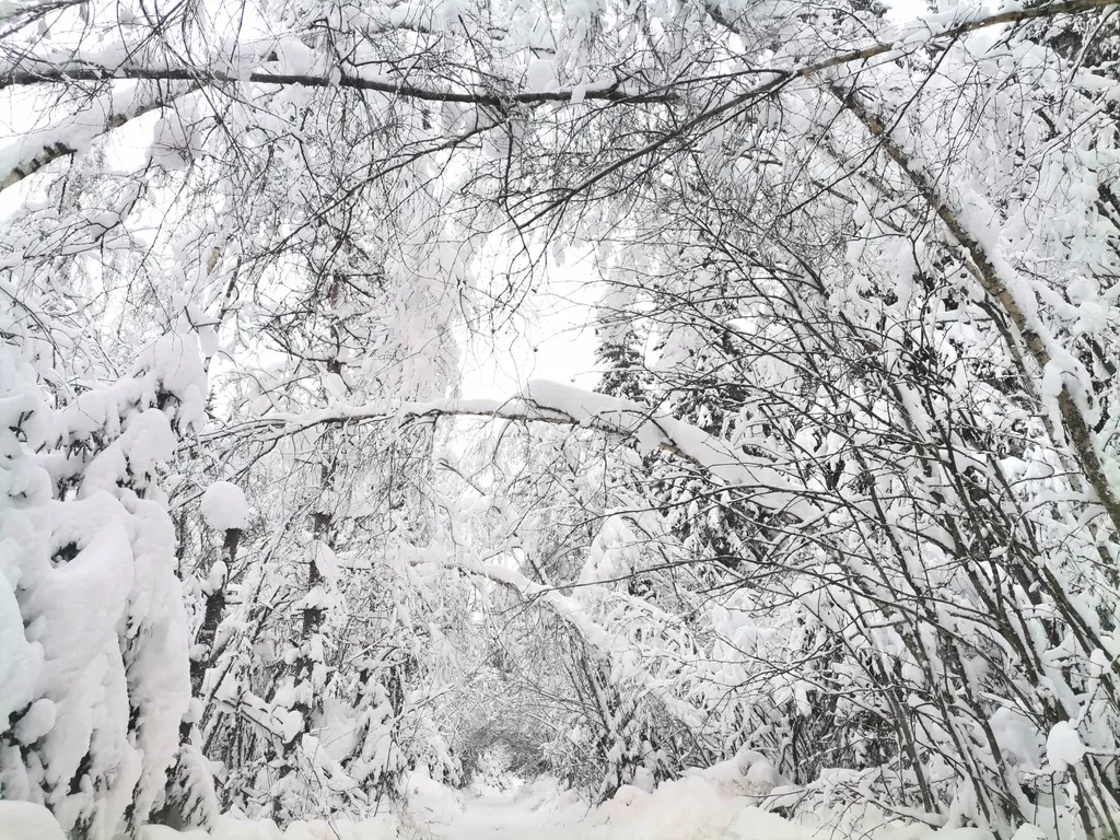 Хутор Лампи