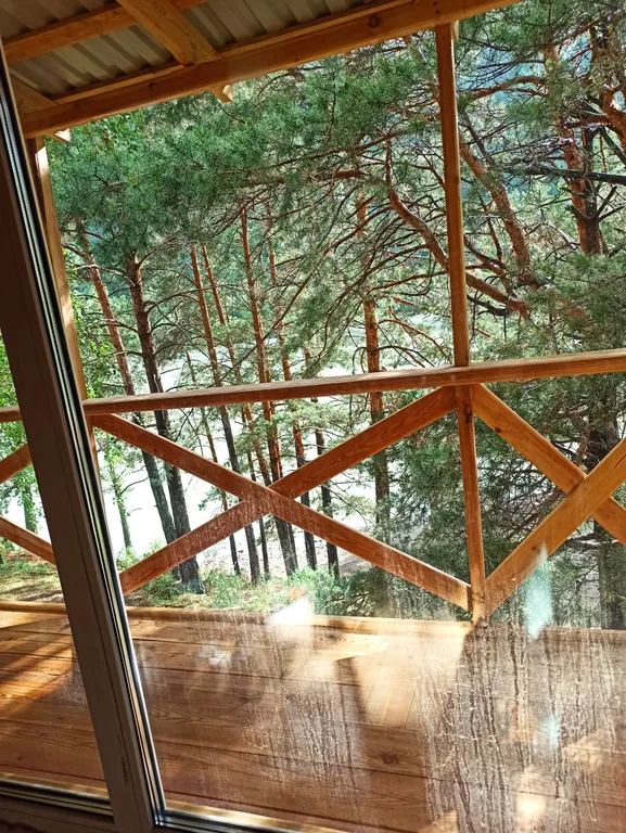 Уютный домик на берегу Катуни