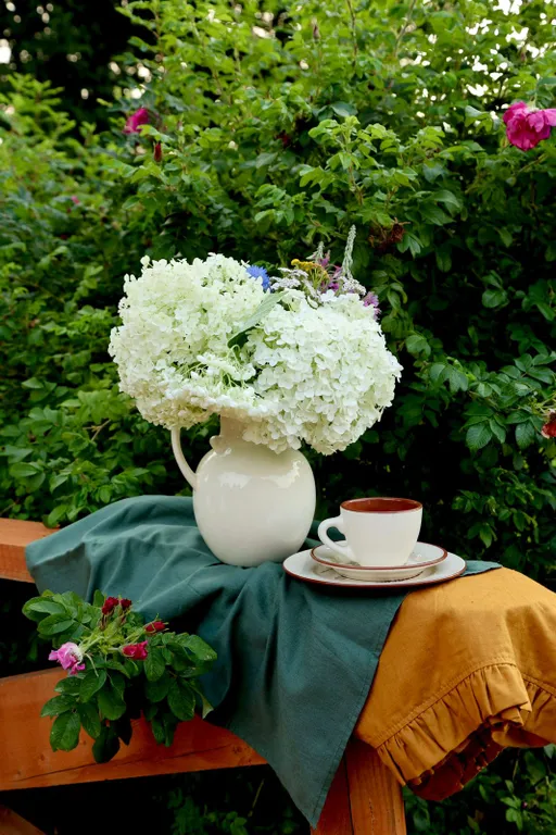 Дом под солнцем