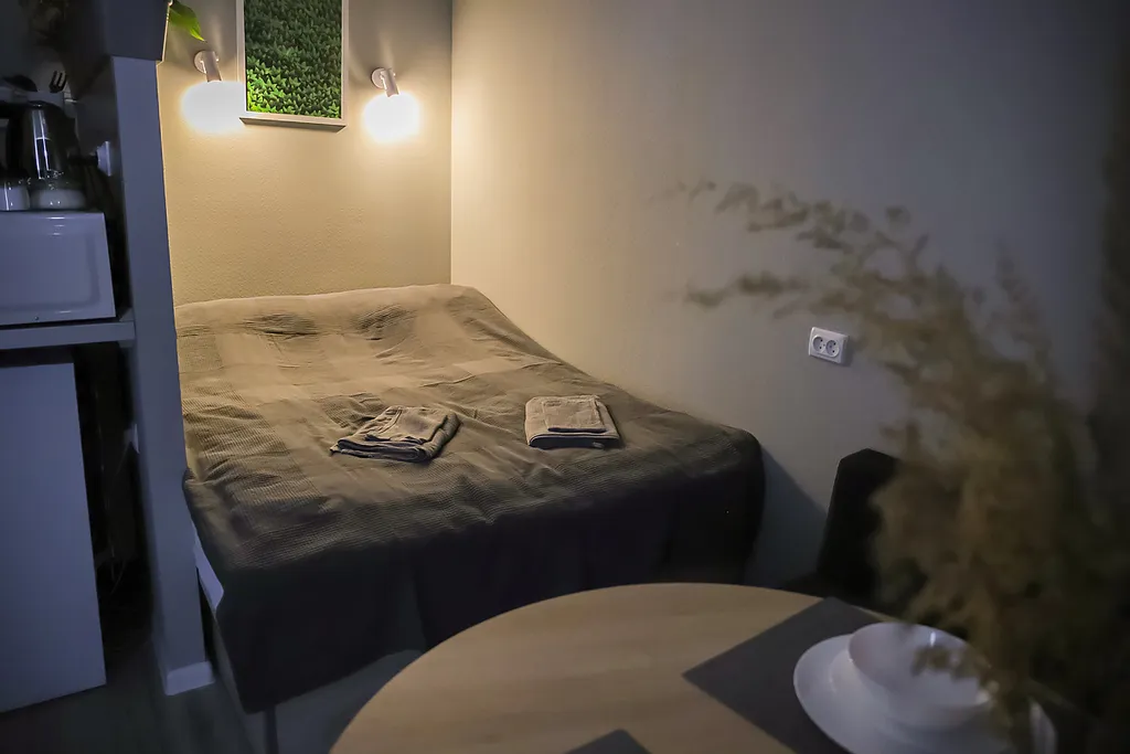 Студия в центре Факел 1