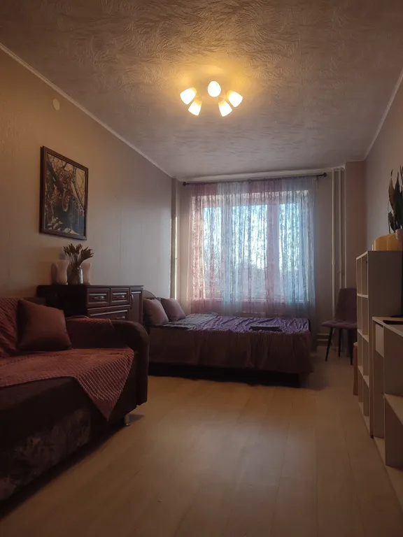 Большая светлая квартира рядом с центром города