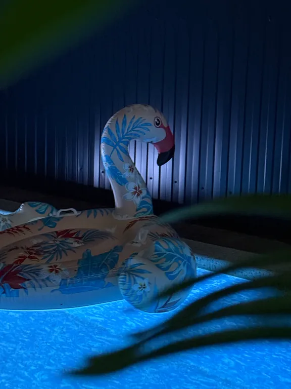 Коттедж Дом с горячим бассейном и баней на дровах — Елизаветинская