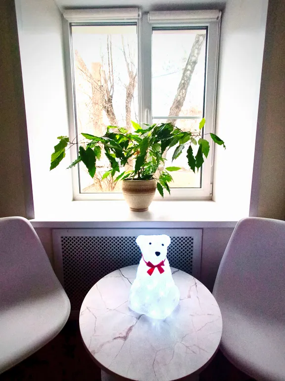 Чистая уютная квартира в центре города