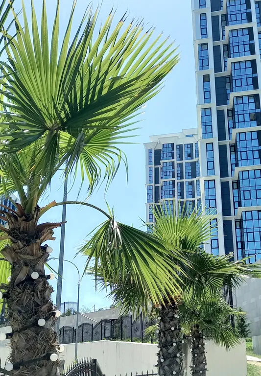 Уютная студия с видом на море