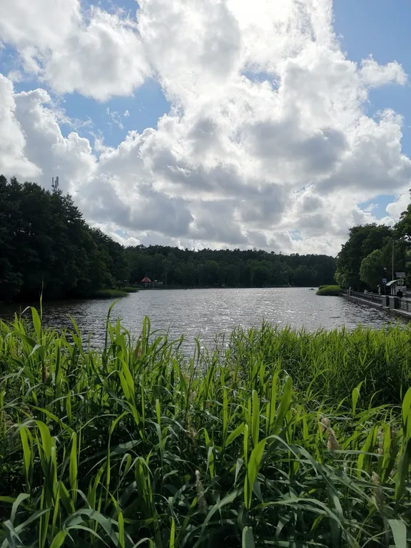 Уютная студия в комплексе лето