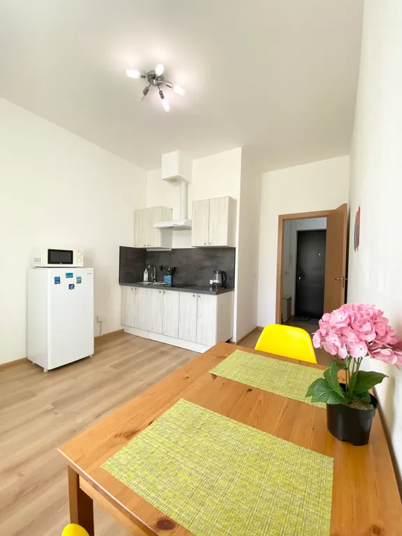 Квартира Комфортная квартира в новом доме в Курортном районе — Песочный