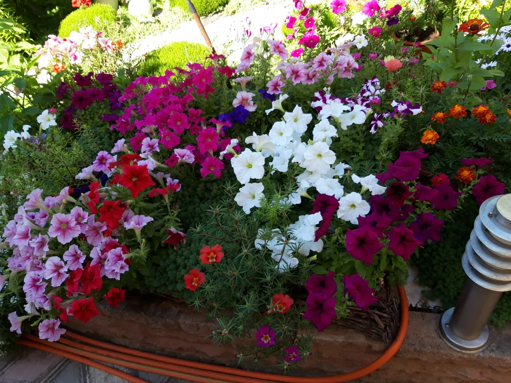 Комфортабельные апартаменты